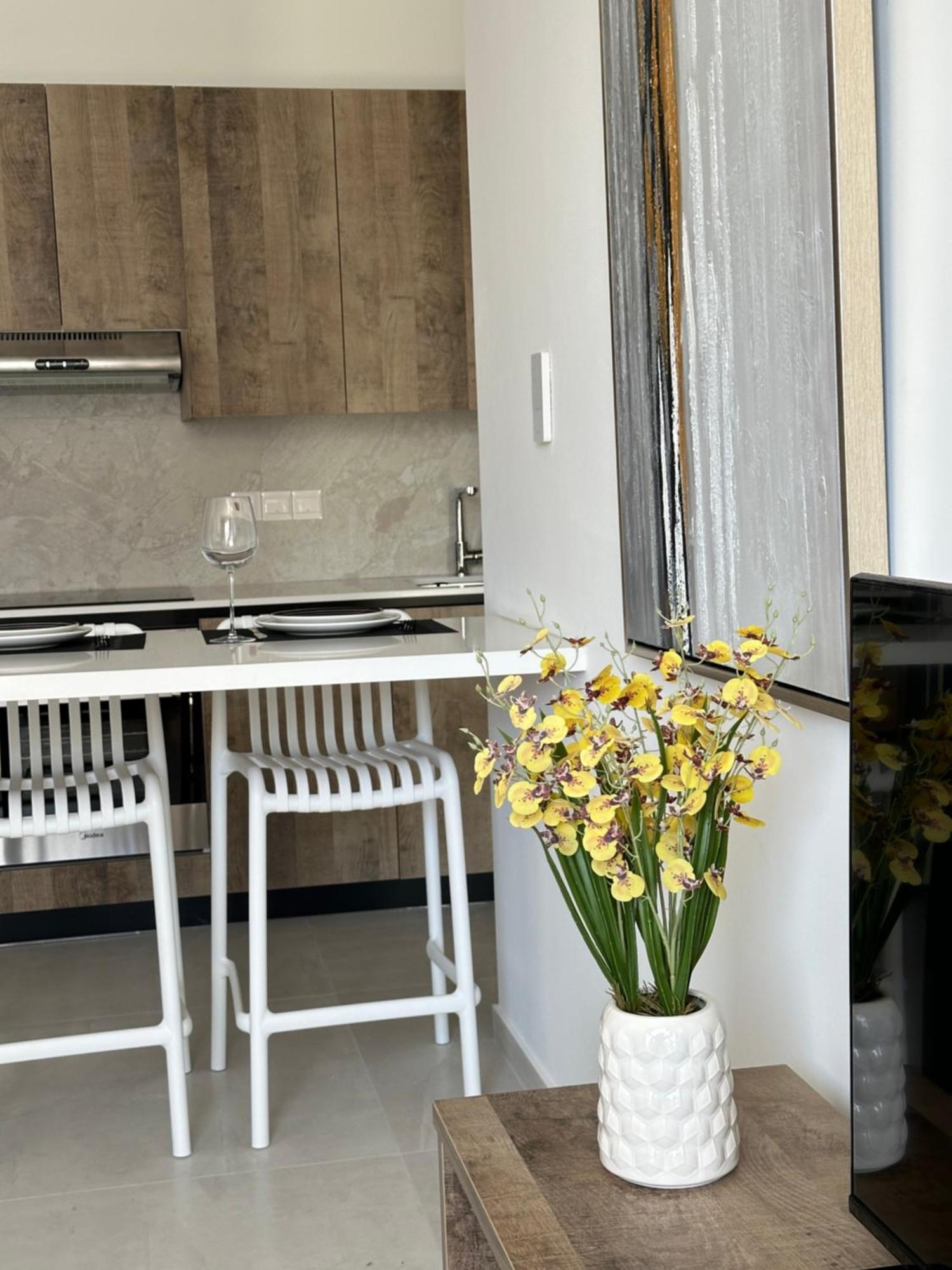 Joanna & Arya Engomi Apts דירה